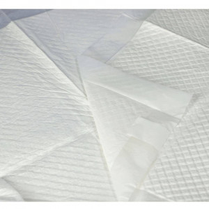 ZARYS Absorbējo&scaron;i paladziņi suņiem L 60x60cm N30